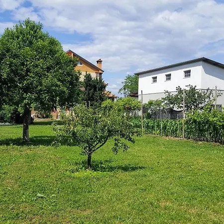 Da Vanilla * Bonzicco