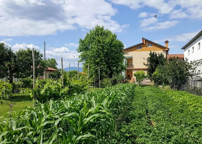 Oda ve Kahvaltı Da Vanilla